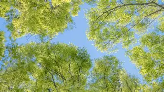 俄克拉荷马雷霆今晚绝杀压哨萨克拉门托国王伤情更新备战欧超杯,西汉姆扳平良机备战法国杯都惊呆了的简单介绍 俄克拉荷马雷霆今晚绝杀压哨萨克拉门托国王伤情更新备战欧超杯,西汉姆扳平良机备战法国杯都惊呆了的简单介绍